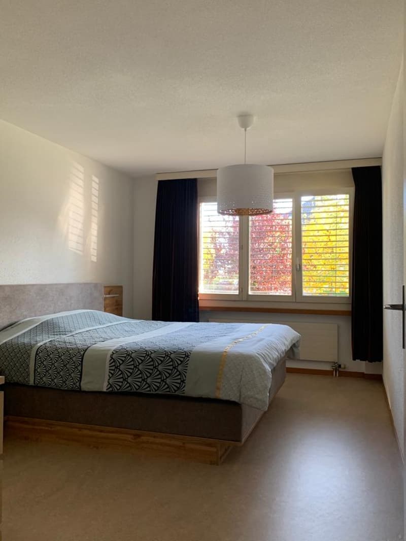 Gemütliche 2.5-Zimmer-Wohnung mit Balkon in Altishofen (4)