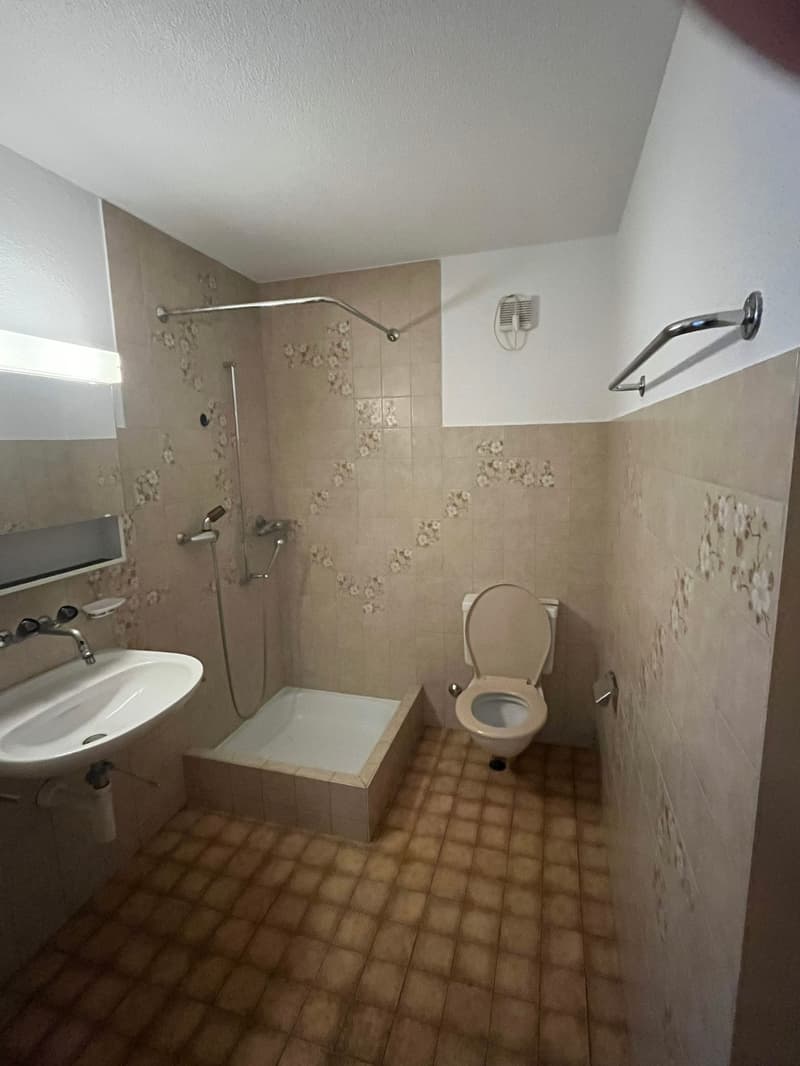 Gemütliche 2.5-Zimmer-Wohnung mit Balkon in Altishofen (3)