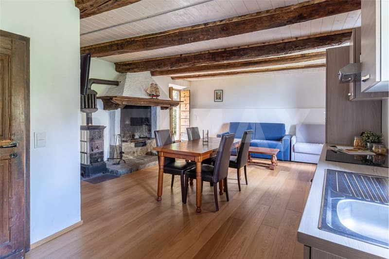 Appartamento 2.5 con vista lago (3)