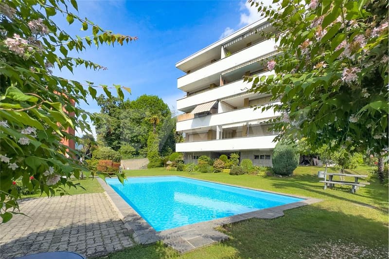 Appartamento di 3.5 locali con piscina (3)