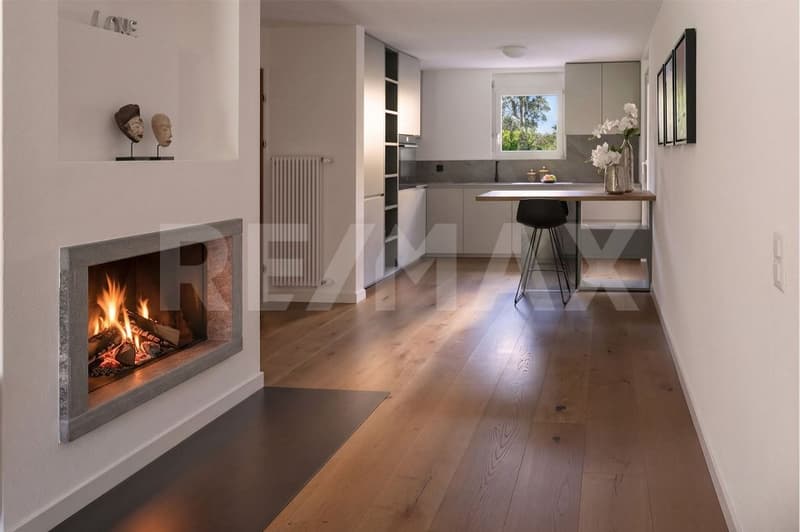 Appartamento moderno ad Ascona (3)
