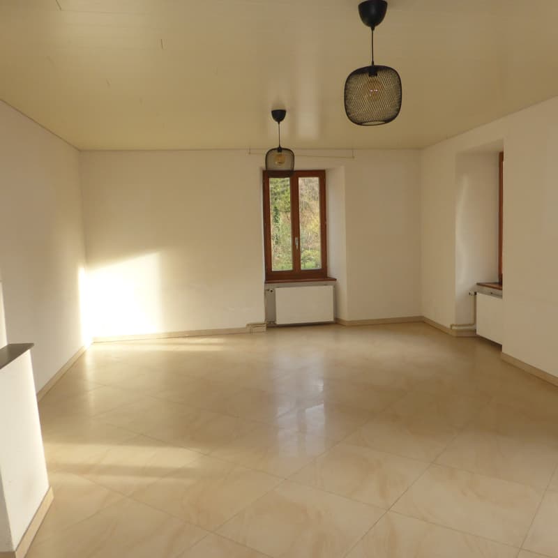 Appartement 5 pièces à Soyhières (5)