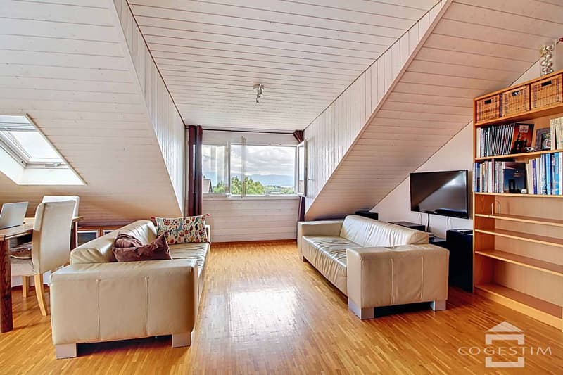 Appartement duplex avec vue Lac & Alpes (3)