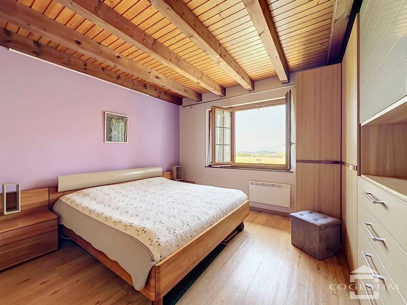 Grande maison individuelle dans son écrin de verdure (6)
