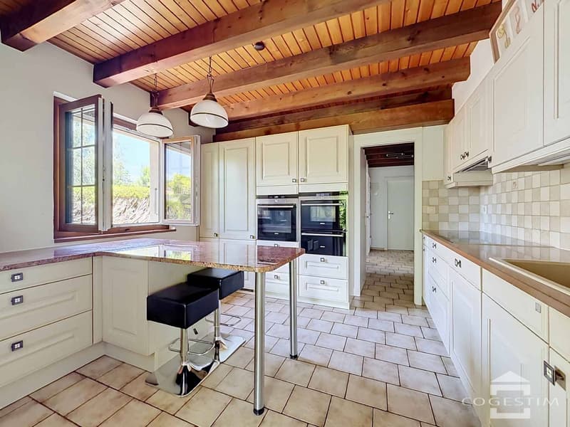 Grande maison individuelle dans son écrin de verdure (5)