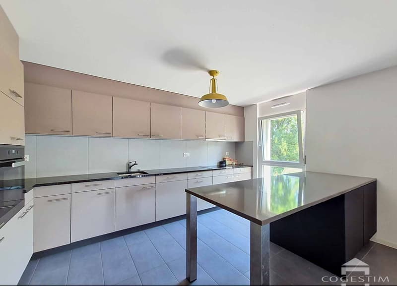 Appartement moderne de 4.5 pièces avec de généreux espaces extérieurs (3)