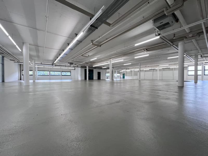 Attractive sales area in HÄGI-PARK in Hägendorf from CHF 119.- per m2 (9)