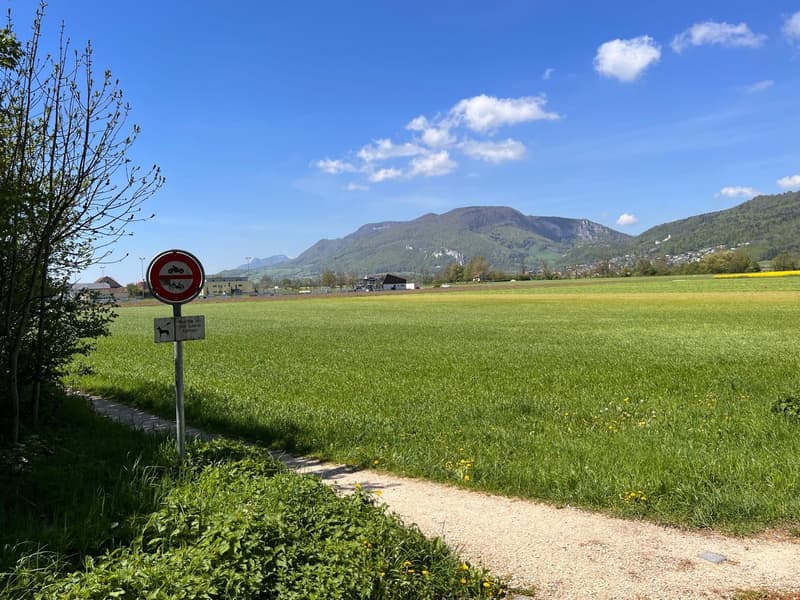 vast green field, path, no dogs sign, mountains