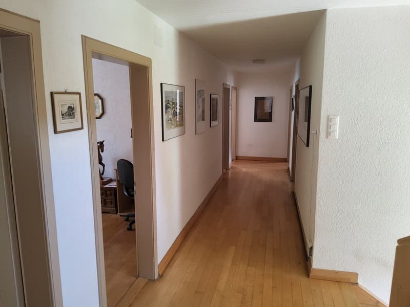 Long hallway with wooden floor, white walls, framed pictures, closed doors, light on ceiling, chair, and small horse statue.