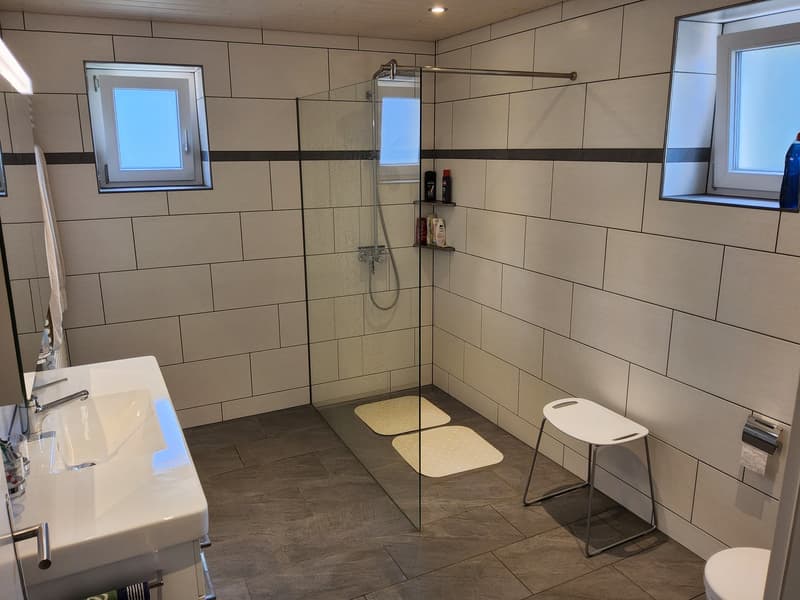 Tiled walls, shower with glass door, white sink, stool, 2 windows, roll of toilet paper on wall
