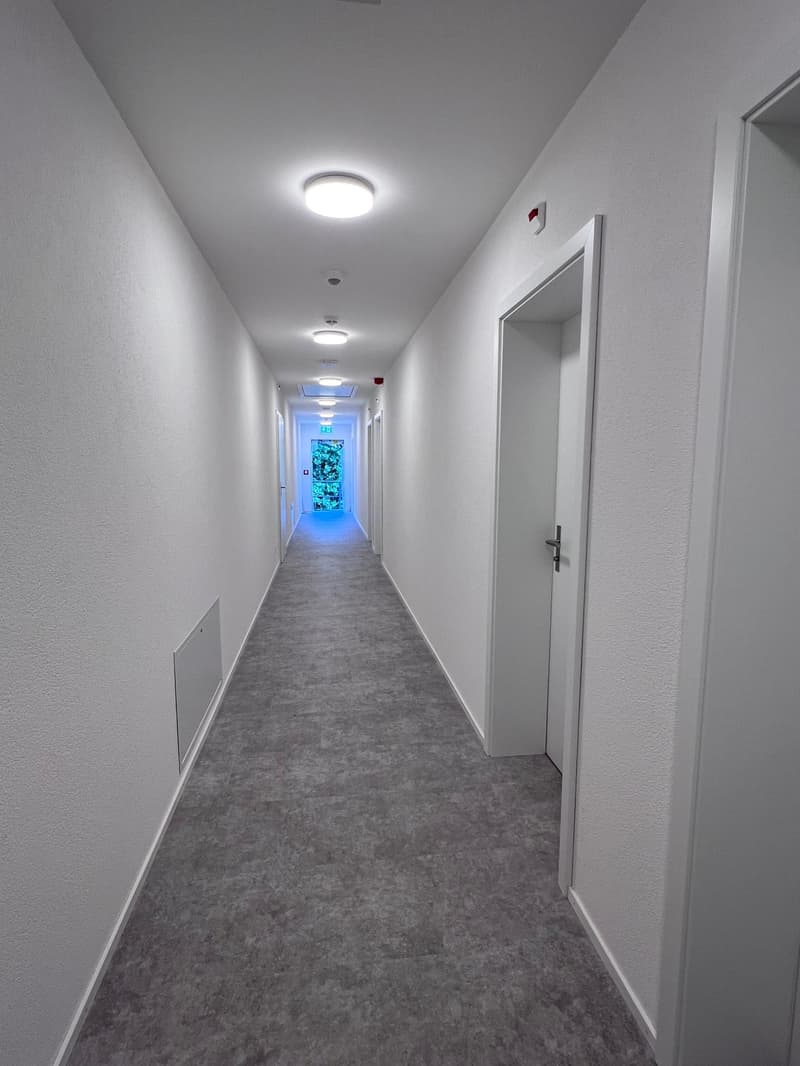 ERSTBEZUG - Gemütliches Studio / Büro / Chauffeurenzimmer oder als Praxis (8)