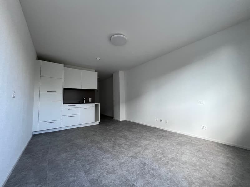 ERSTBEZUG - Gemütliches Studio / Büro / Chauffeurenzimmer oder als Praxis (1)