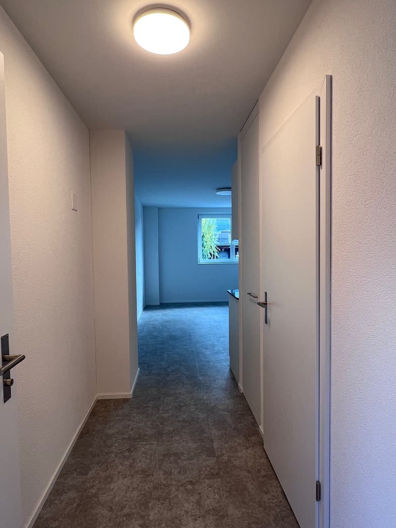 ERSTBEZUG - Gemütliches Studio / Büro / Chauffeurenzimmer oder als Praxis (6)