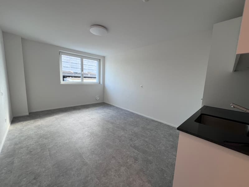 ERSTBEZUG - Gemütliches Studio / Büro / Chauffeurenzimmer oder als Praxis (3)