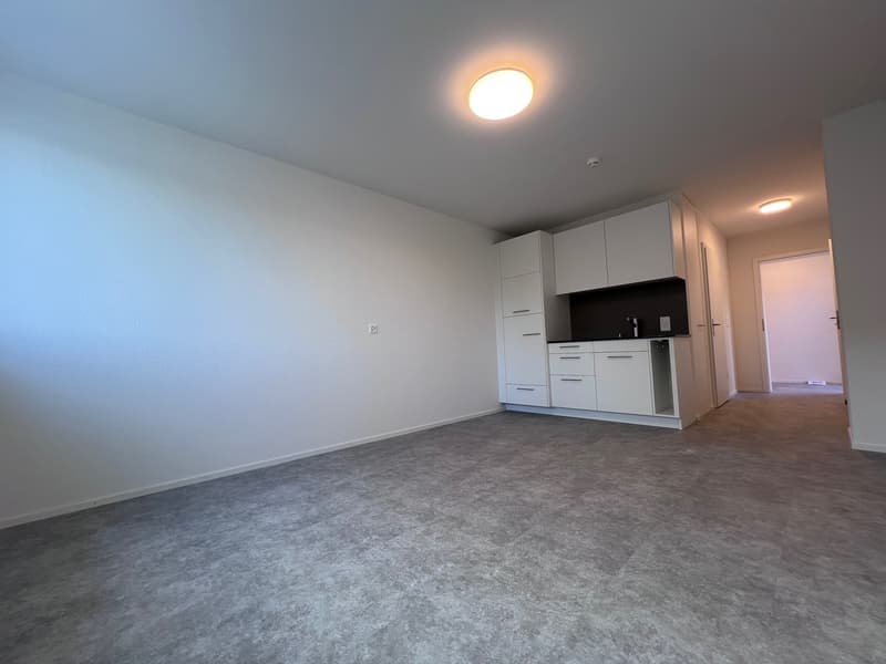 ERSTBEZUG - Gemütliches Studio / Büro / Chauffeurenzimmer oder als Praxis (2)