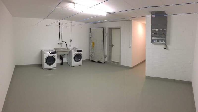 5.5-Zimmer DEFH mit grossem Garten und Autounterstand (14)