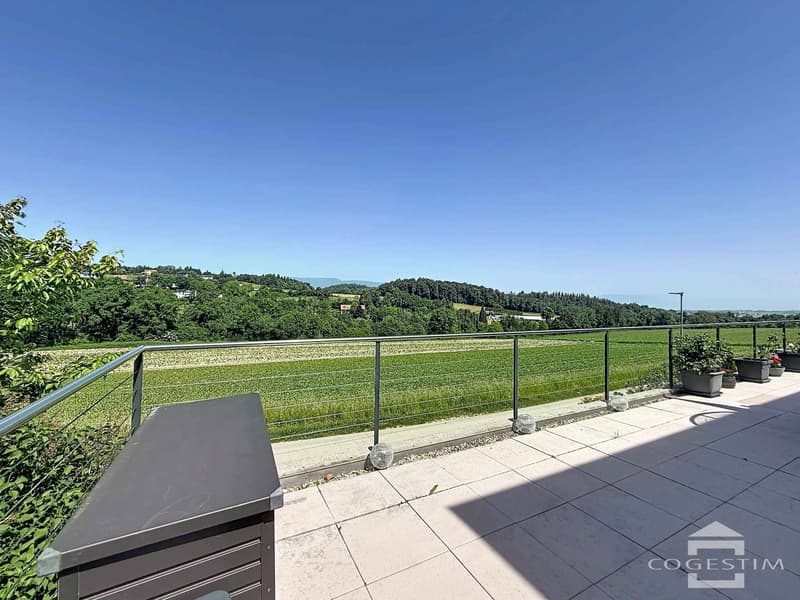 Villa mitoyenne contemporaine de 6.5 pièces (2)