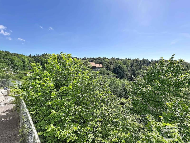 Maison villageoise de 5.5 pièces avec jardin et garage (13)