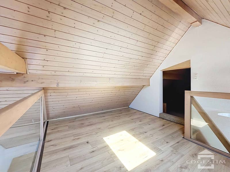 Attique en duplex avec terrasse et balcon (8)