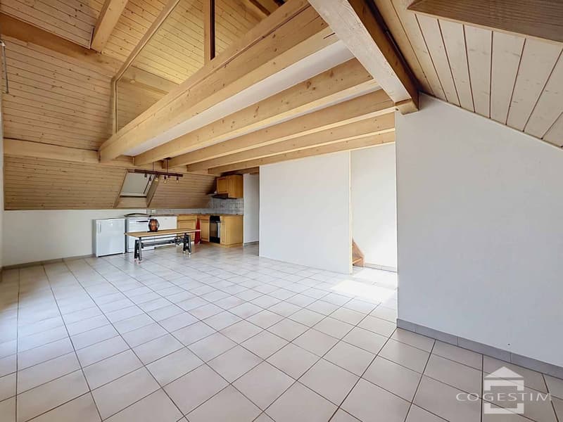 Attique en duplex avec terrasse et balcon (5)