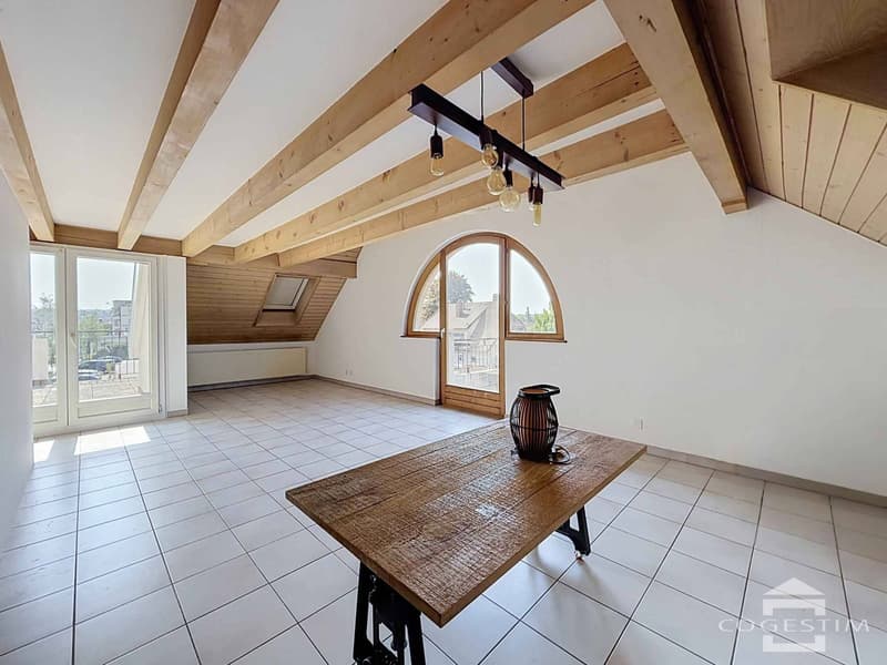 Attique en duplex avec terrasse et balcon (1)