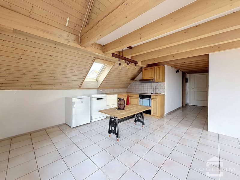 Attique en duplex avec terrasse et balcon (3)