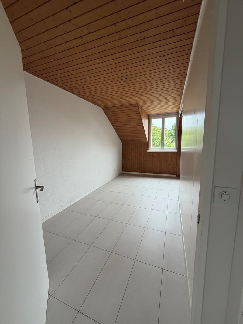 Grosszügige Dachwohnung / Appartement sous les toits (9)