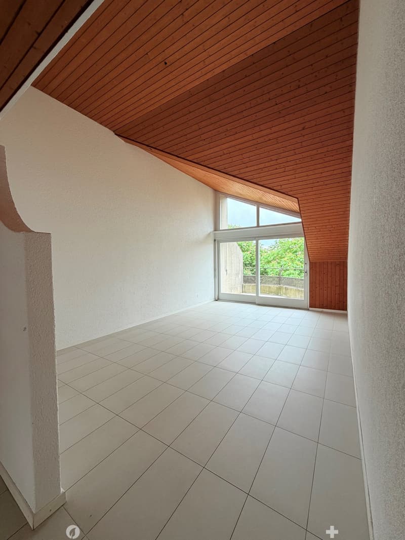 Grosszügige Dachwohnung / Appartement sous les toits (5)