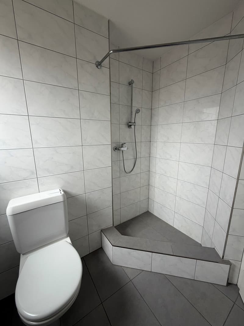 Grosszügige Dachwohnung / Appartement sous les toits (15)