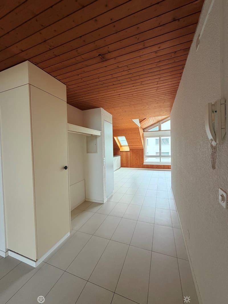 Grosszügige Dachwohnung / Appartement sous les toits (4)