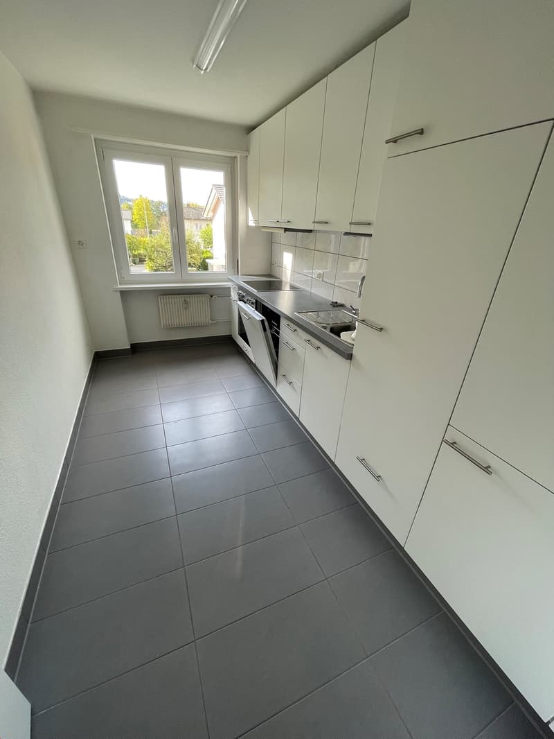 Renovierte 3-Zimmerwohnung mit 2 Balkonen (15)