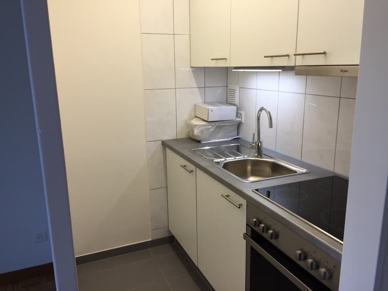 1,5 Zimmerwohnung / Nr. 8 (2)