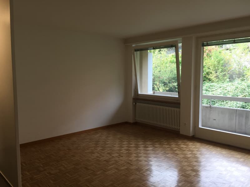 1,5 Zimmerwohnung / Nr. 24 (1)