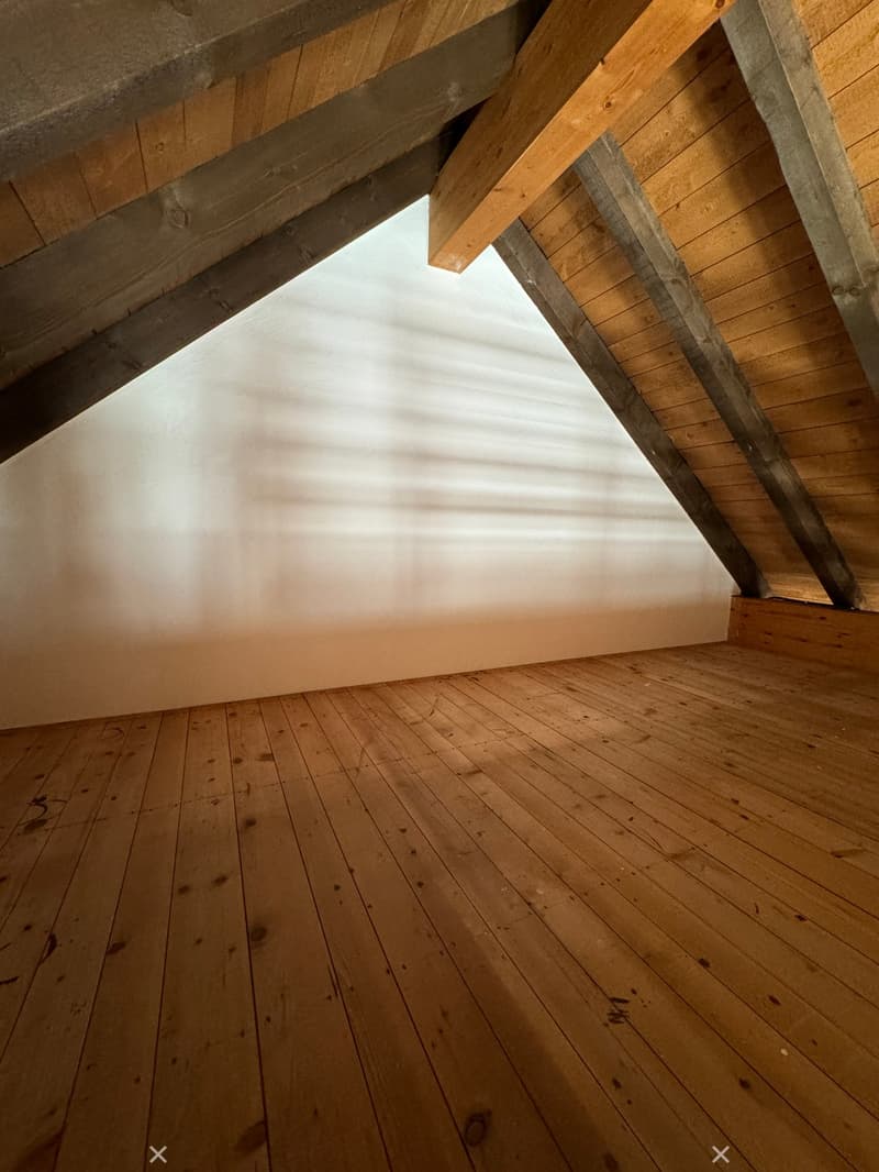 Einzigartige 1.5-Zimmer Wohnung mit Galerie (6)