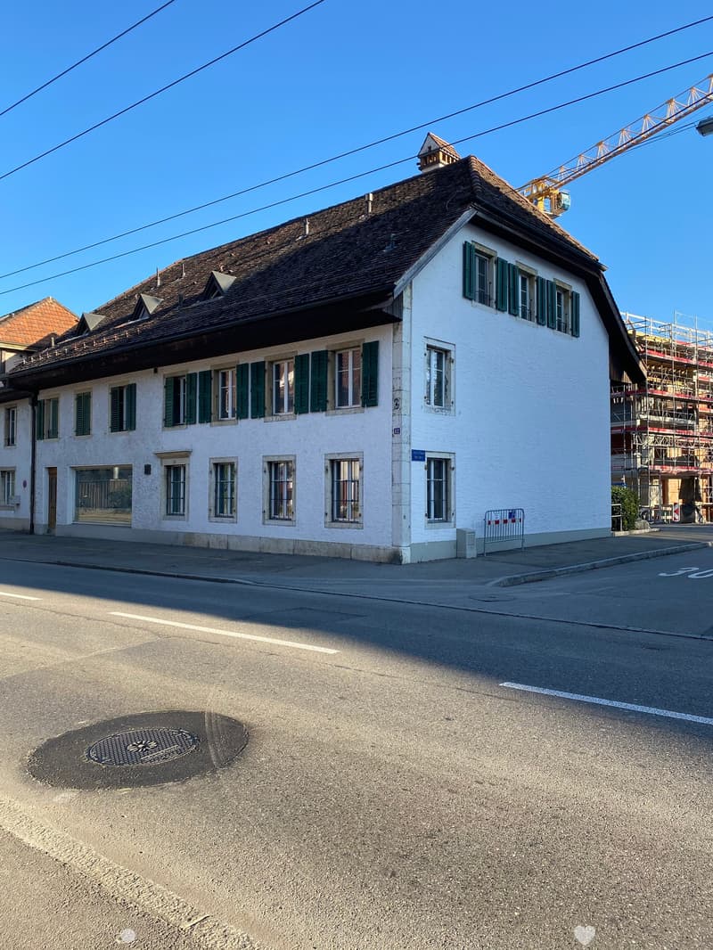 Einzigartige 1.5-Zimmer Wohnung mit Galerie (1)