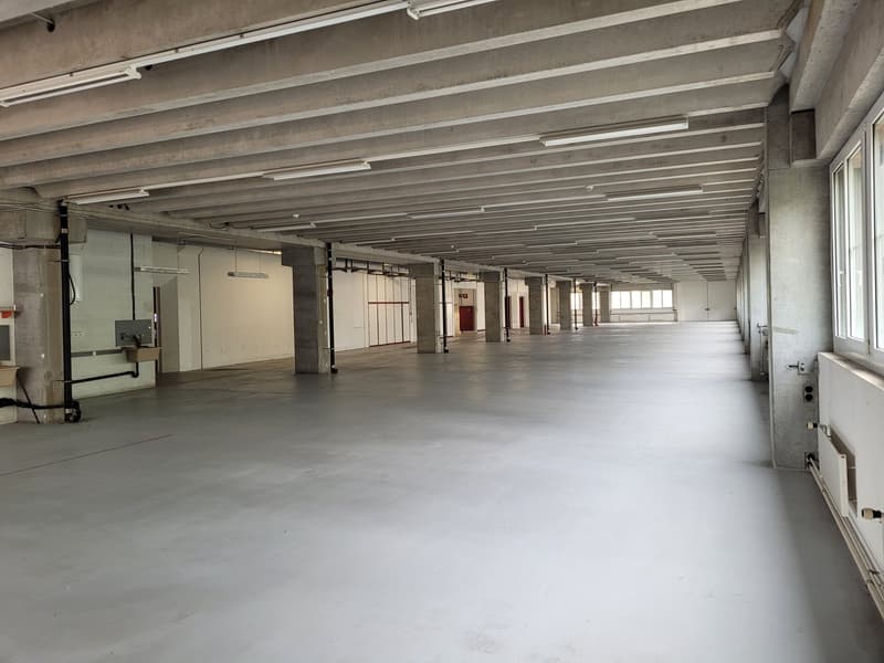 Empty large room, concrete floor, exposed concrete ceiling, fluorescent lights, large glass windows on the side, concrete columns, electrical outlets and conduits visible, doors in the distance.