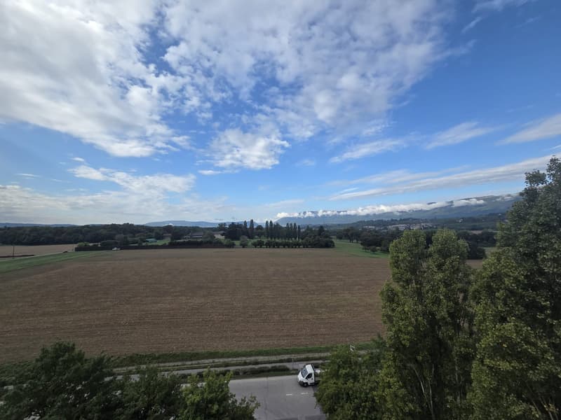 Aerial view of a farm field with clear sky and white clouds