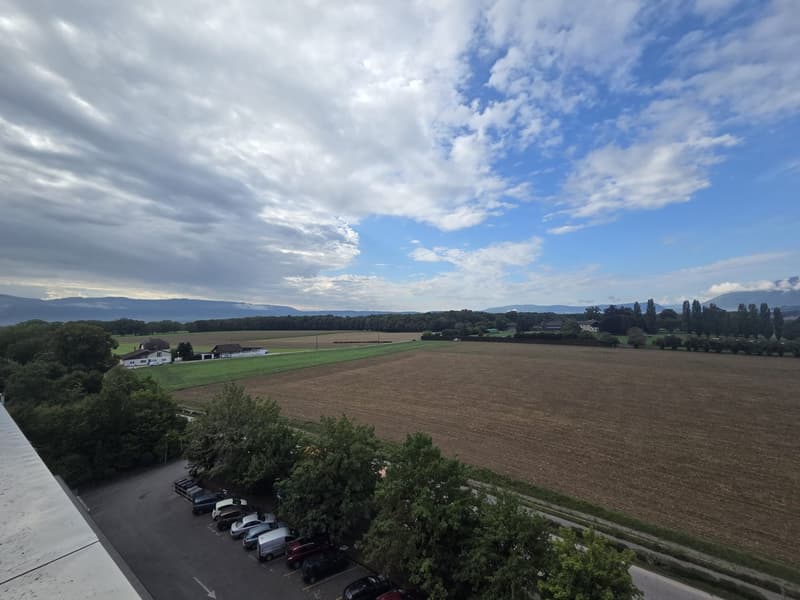 field, house, trees, mountain range
