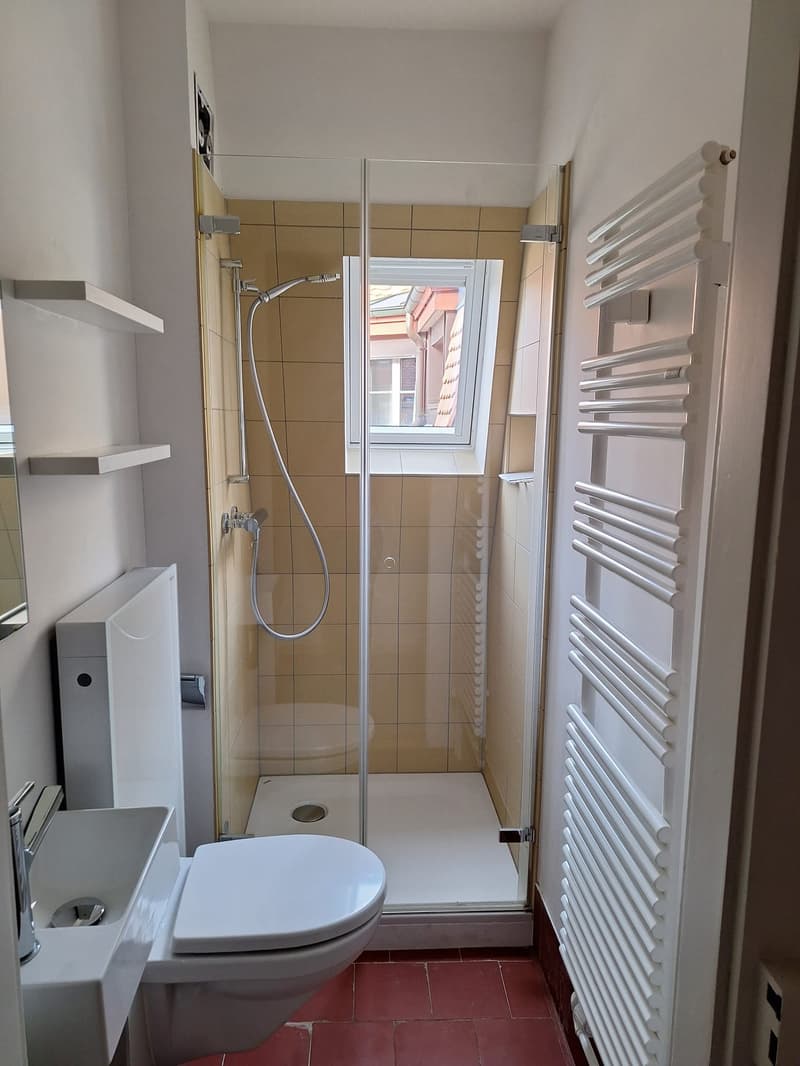 modern bathroom with shower, toilet, sink, and radiator