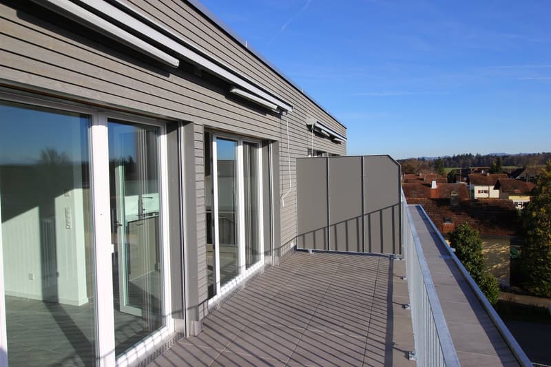 Erstbezug! Moderne 2.5-Zimmer-Attika-Wohnung – ab 01.10.2026 verfügbar (7)