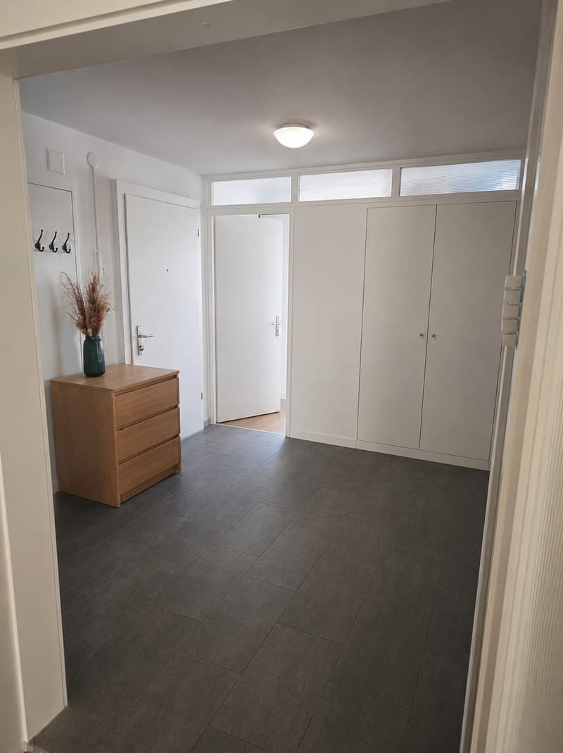 Helle und grosszügige 4-ZWG (9)