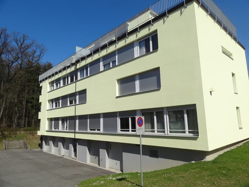 "Garage zu vermieten" Musterfoto (2)
