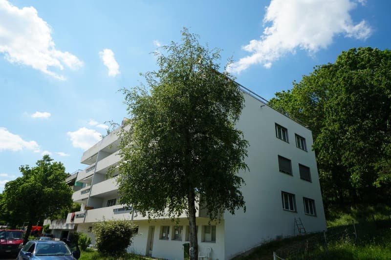 Helle 3.5 Zimmerwohnung mit grosser Dachterrasse (1)