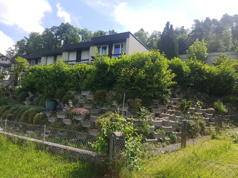 Reiheneckhaus mit Bergsicht und schönem Garten (2)