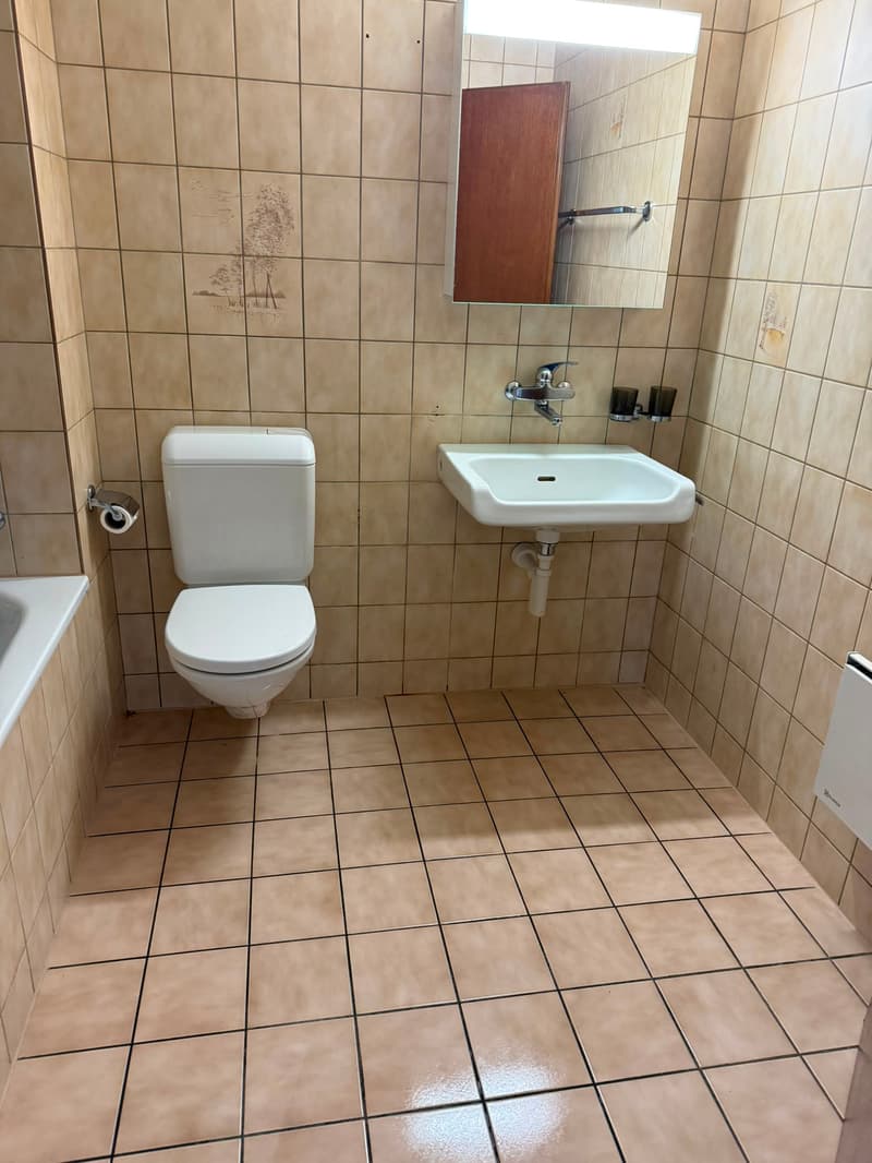 Helle 2.5-Zimmerwohnung mit grosszügigen Balkon (7)