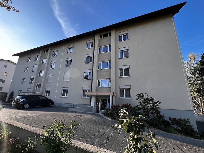 Helle 2.5-Zimmerwohnung mit grosszügigen Balkon (1)