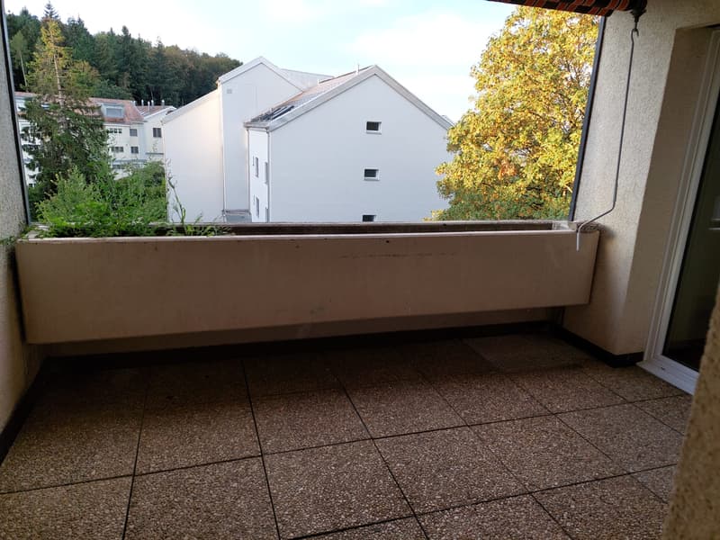 BEFRISTET 4.5-Zimmer-Familienwohnung im Amselwegquartier (3)