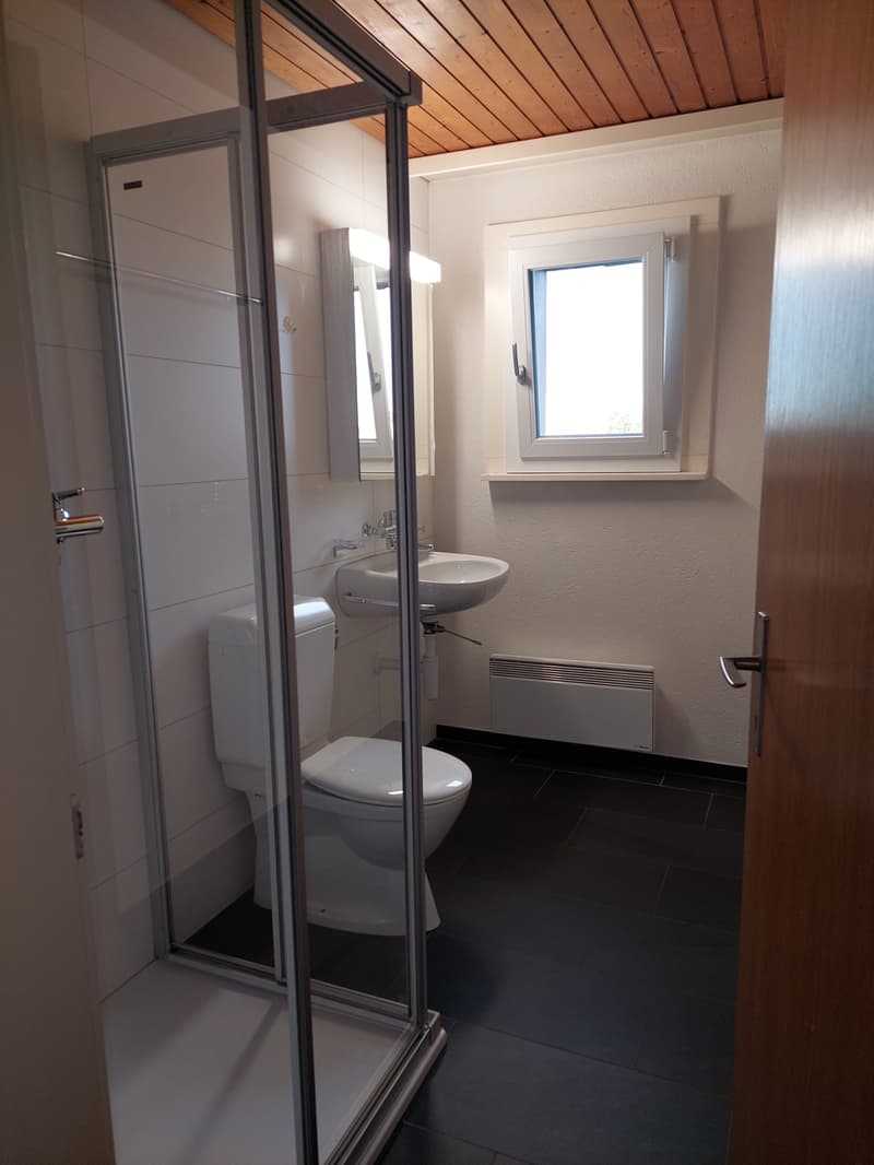 BEFRISTET 4.5-Zimmer-Familienwohnung im Amselwegquartier (8)