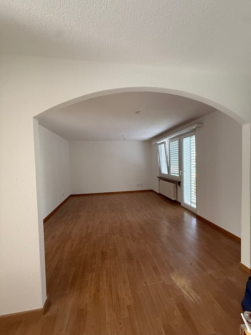 Charmantes 6-Zimmer-Einfamilienhaus mit Garten in Aarau (3)