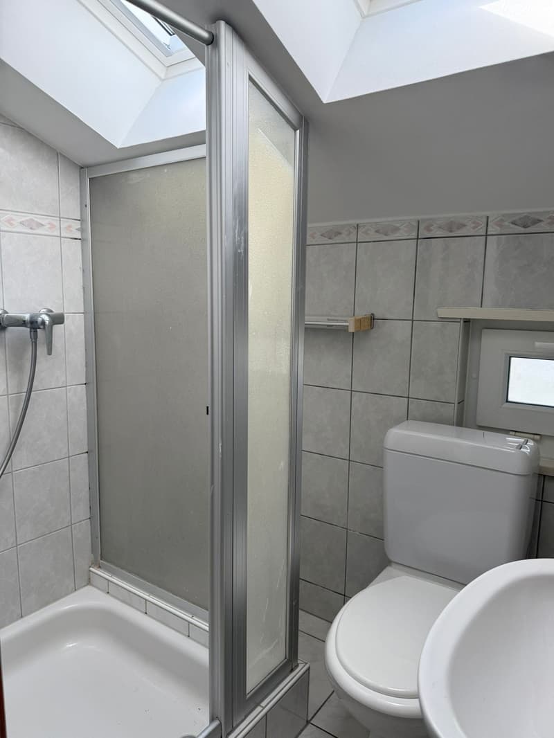 Charmantes 6-Zimmer-Einfamilienhaus mit Garten in Aarau (11)